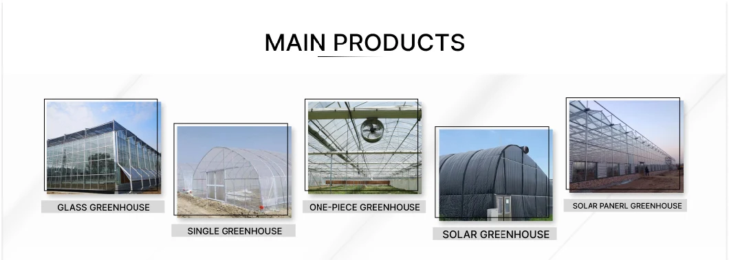 Agriculture Commercial Greenhouse with Polycarbonate/Aquaponics/Cooling Fan/Heater/Boiler/Net for Plant Fruit