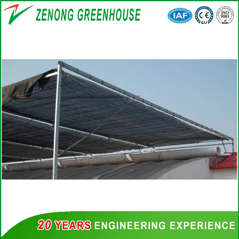 Dome Roof Greenhouse Covered with Durable Film for Seed Nursery/Vegetable Planting/Flowers Growing