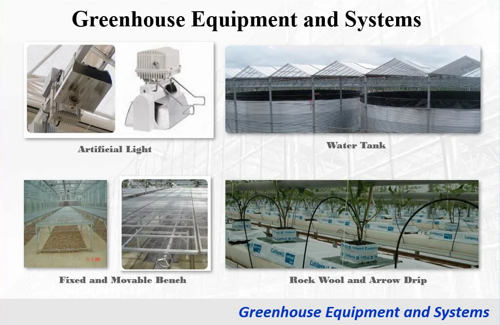 Galvanized Steel Frame Agriculture/Commercial Turn-Key Poly Tunnel Film Greenhouse