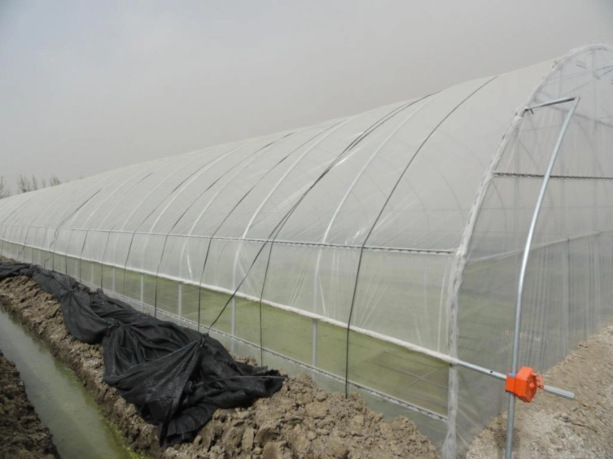 Professional Agricultural Single Span Tunnel Dome Film Greenhouse for Vegetable/Flower