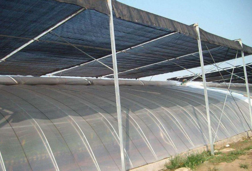 Professional Agricultural Single Span Tunnel Dome Film Greenhouse for Vegetable/Flower