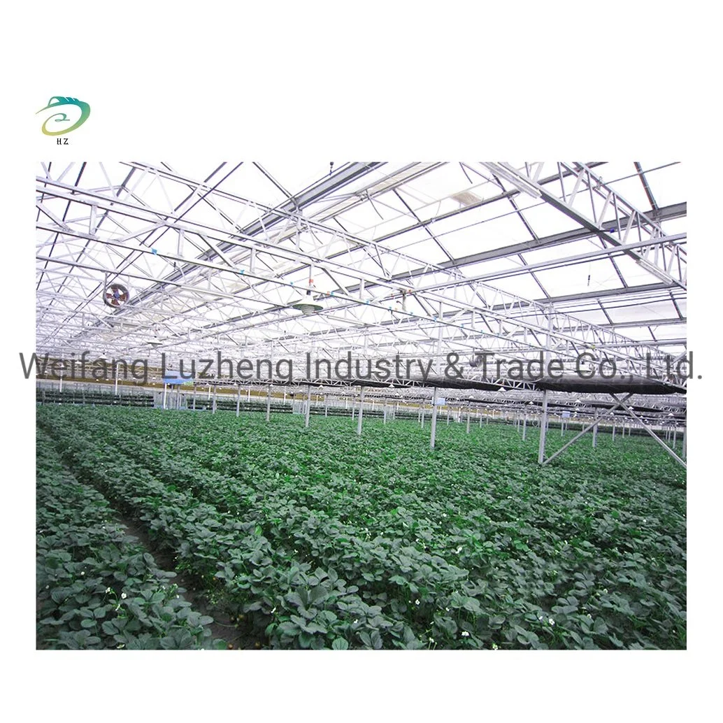 China Easy Assemble Polycarbonate PC Sheet Commercial Garden Greenhouse with Hydroponics/ Planting System/ Light System/ Agriculture/ Livestock Breeding