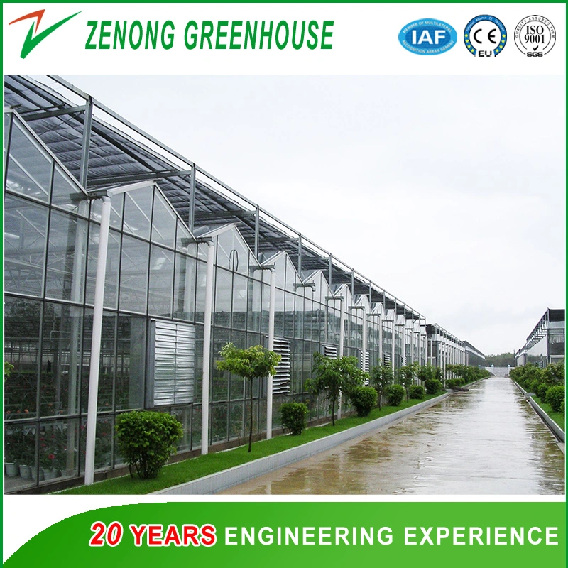 Effective Greenhouse Outside Shading Screen for Lowing The Temperature Not Sunburn The Crops