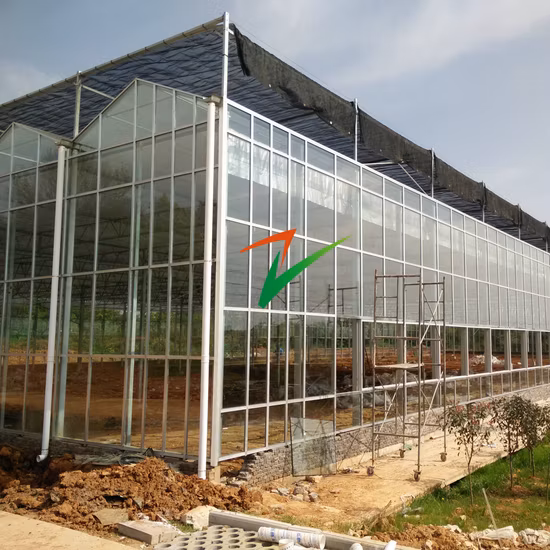 Green Houses produce serra di vetro per tende da coltivazione per irrigazione di raffreddamento per fiori di fragola e pomodoro a più campate