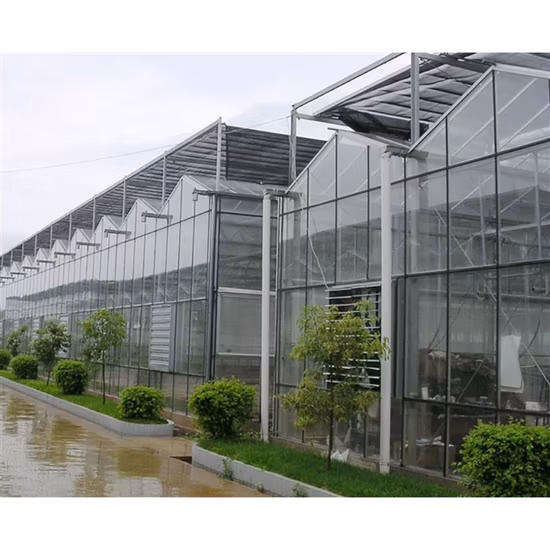 Prezzo di fabbrica Agricoltura Serra Multi
