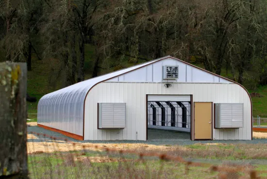 Serra a forma di tunnel con cupola ad arco per piantagioni agricole