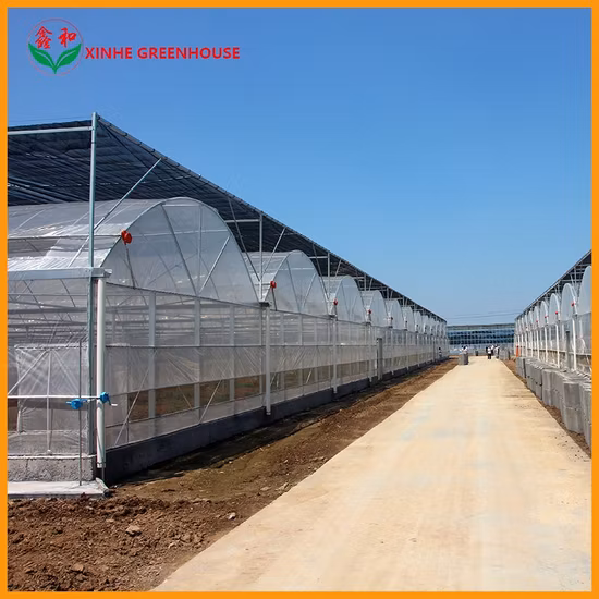 Multi agricolo/commerciale