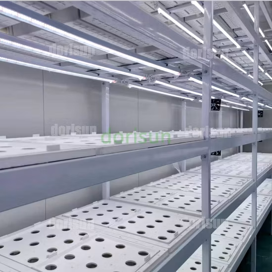 Contenitore agricolo per serre con sistema di riscaldamento e raffreddamento a controllo facile da 9600 * 650 * 2350 mm