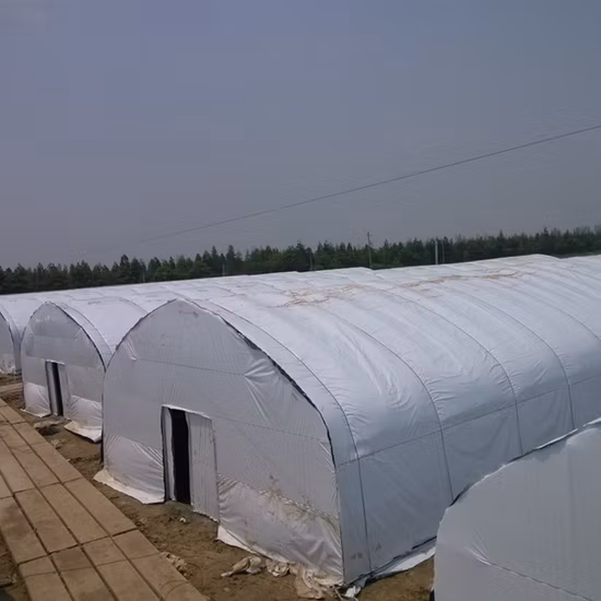 Sistema di Deprivazione della Luce Serra a Tunnel Ombreggiatura al 100% con Sistema Oscurante