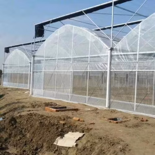 Materiale da costruzione per serre idroponiche con film plastico ad alta tecnologia a basso costo agricolo in vendita